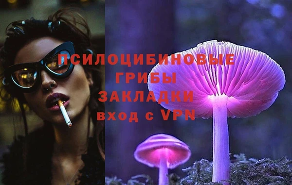 прущие крисы Беломорск