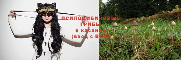 прущие крисы Беломорск