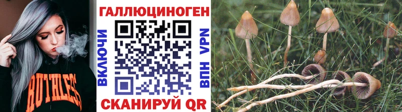 Галлюциногенные грибы Psilocybe  OMG рабочий сайт  Выкса 